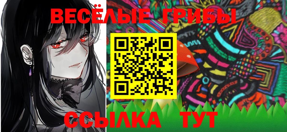Псилоцибиновые грибы Psilocybe Клин