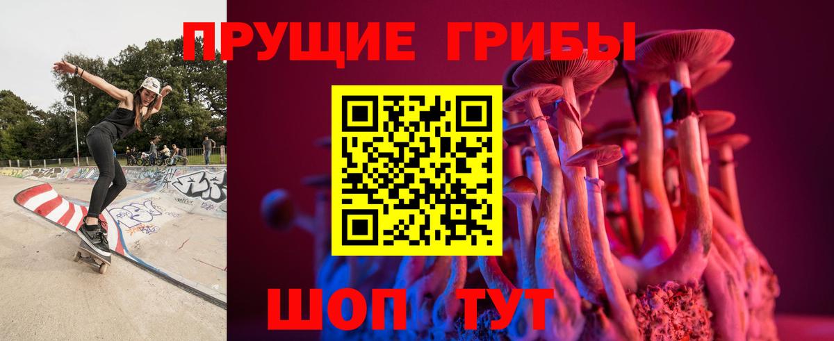 Галлюциногенные грибы Psilocybine cubensis  Вход с VPN  Псилоцибиновые грибы MAGIC MUSHROOMS  Клин 