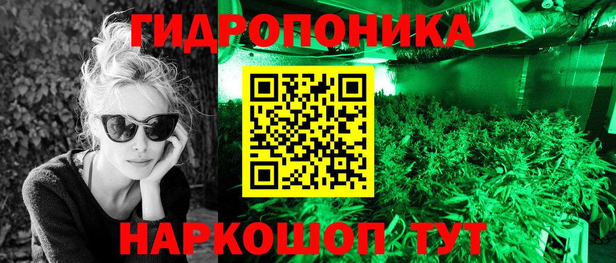 Марихуана Ganja  МАРИХУАНА марихуана  Шишки марихуана Bruce Banner  Клин  Вход с VPN 